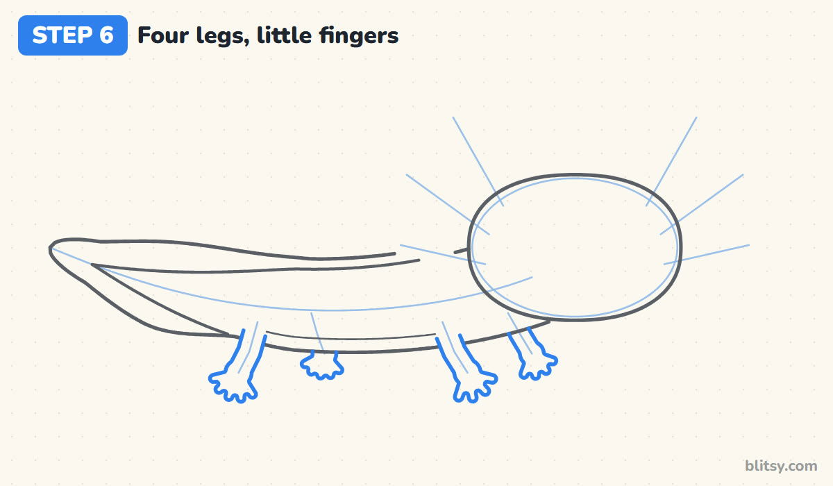How to draw an axolotl step by step step 6 - shape four little legs with fingers