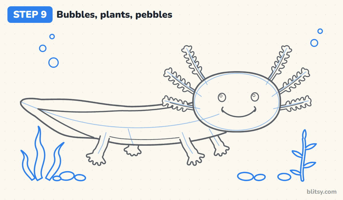 How to draw an axolotl step by step step 9 - build a small aquarium scene