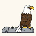How to Draw an Eagle Step by Step (Easy for Beginners)