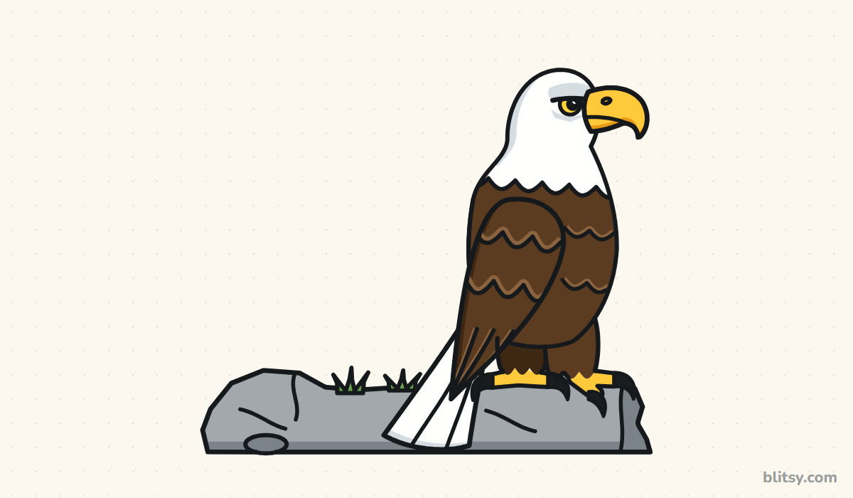 How to draw an eagle step by step - finished drawing