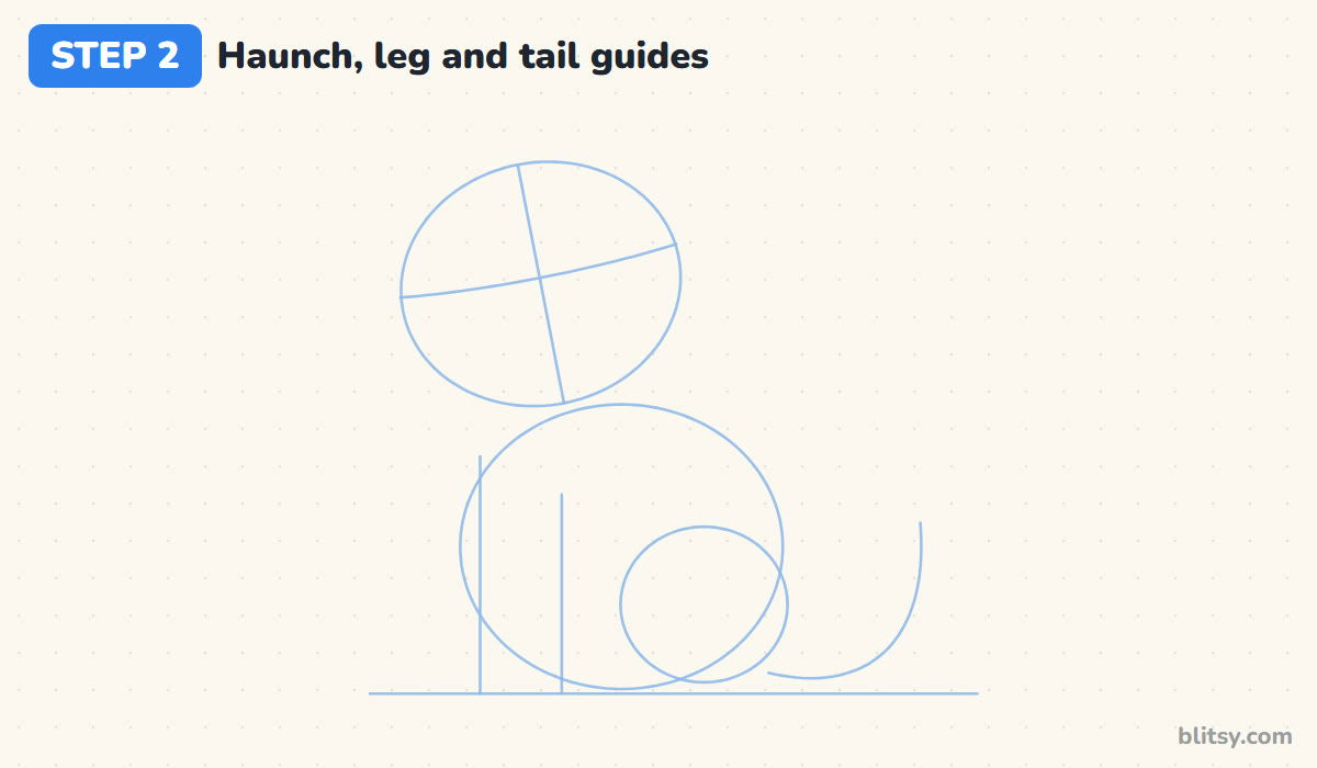 How to draw simba step by step step 2 - add guides for the haunch, the legs and the tail