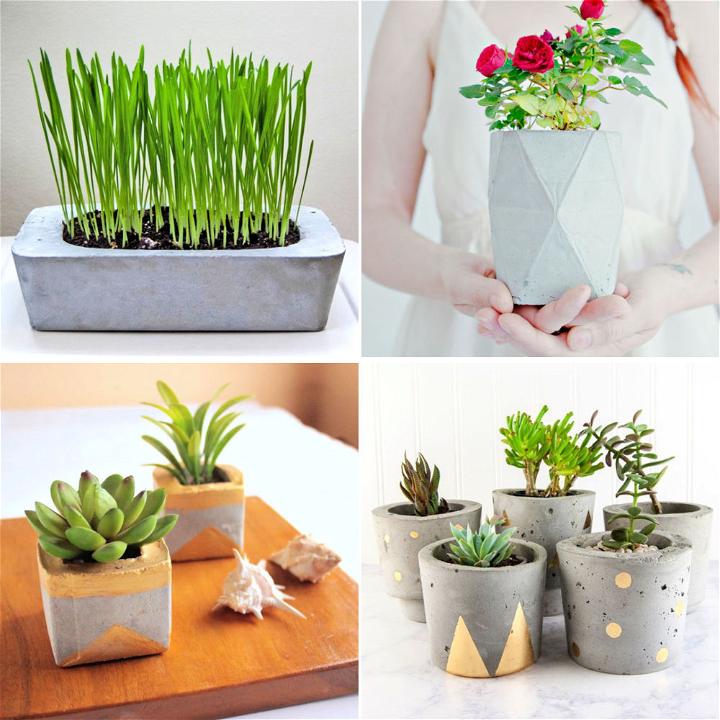 25 Brilliant DIY Concrete Planters To Make