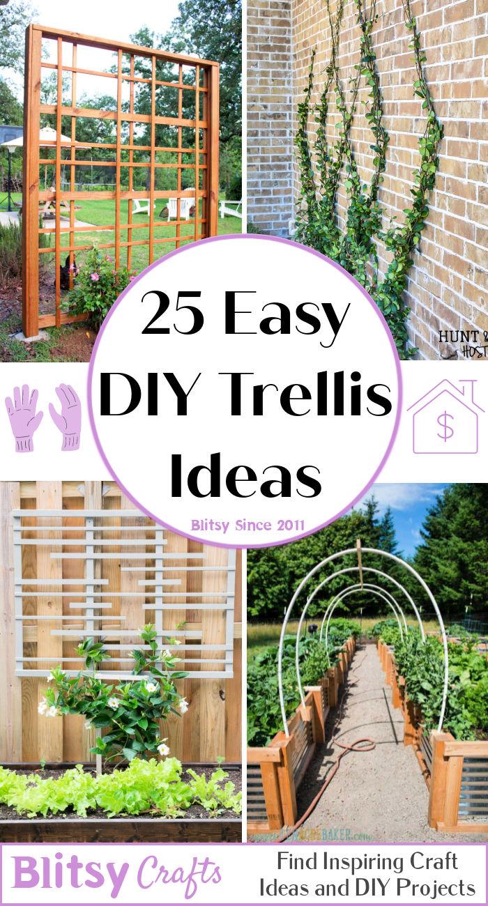 25 Easy DIY Trellis Ideas