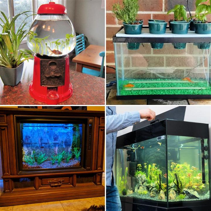 Best DIY Fish Tanks