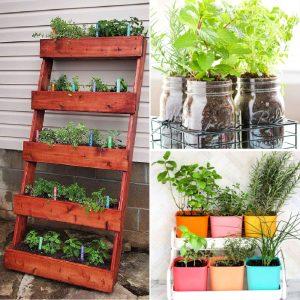 Best DIY Herb Garden Ideas