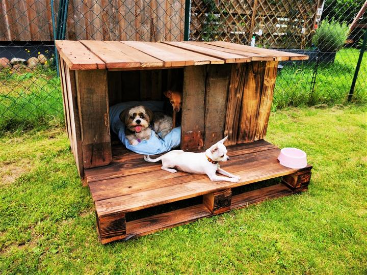 construir una caseta de perro con madera de paleta