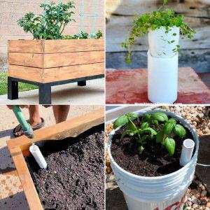 Cheap DIY Self Watering Planters To Make and Save Your Gardening Time
