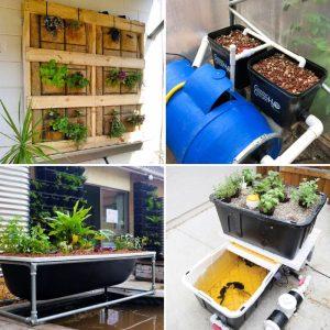 20 Useful DIY Aquaponics Systems and Plans