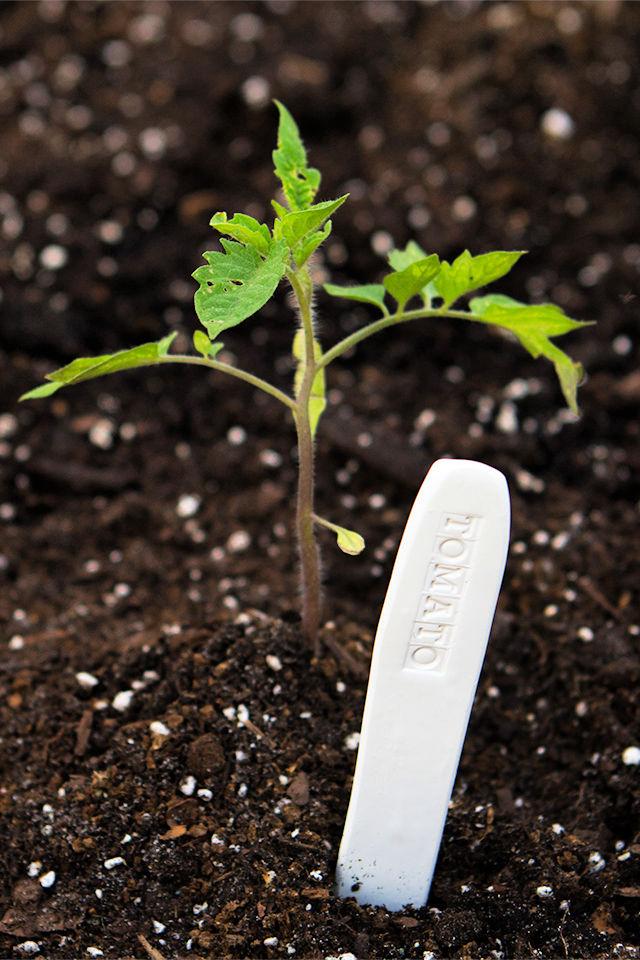 DIY Clay Garden Markers