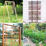 20 Homemade DIY Cucumber Trellis Ideas