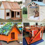40 DIY Dog House Plans On A Budget