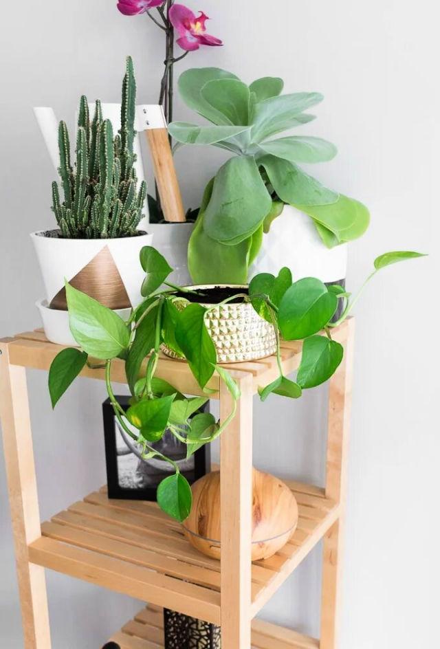 DIY Indoor Planters