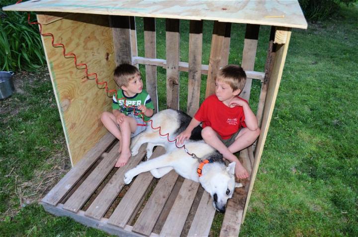 DIY Pallet Dog House