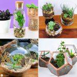 How to Make a Terrarium - Step by Step Guide
