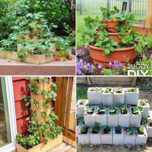Easy DIY Strawberry Planter Ideas