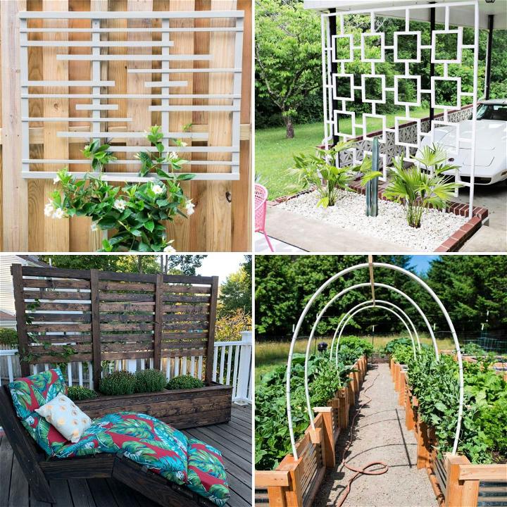 Easy DIY Trellis Ideas