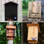DIY Bat House Plans to Build
