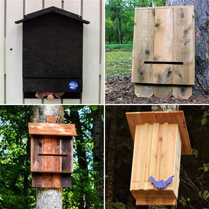 Free Bat House Plans