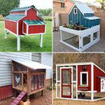 40 DIY Chicken Coop Plans (Ultimate Guide)