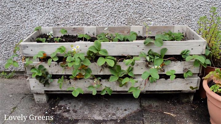 How To Make A Pallet Planter