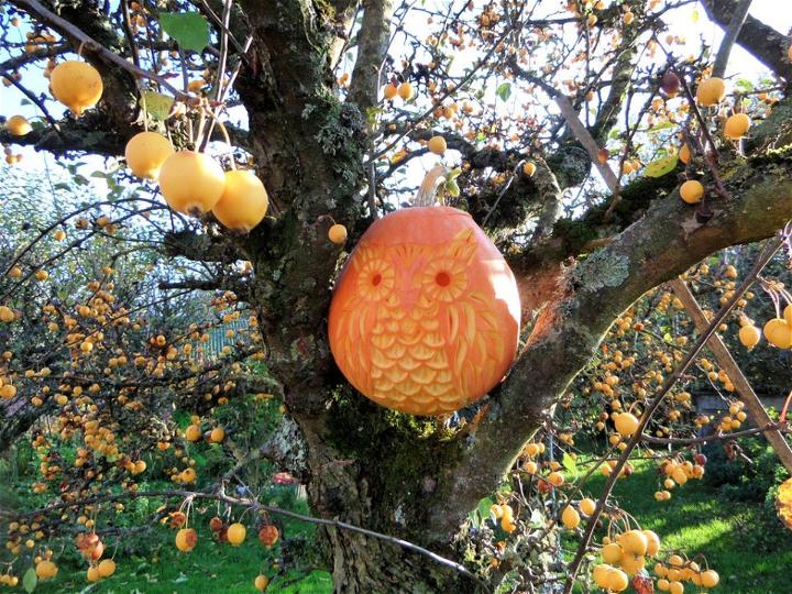 How to Carve a Pumpkin Owl