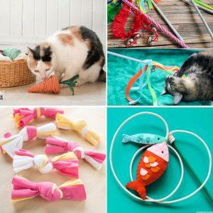 Inexpensive DIY Cat Toys