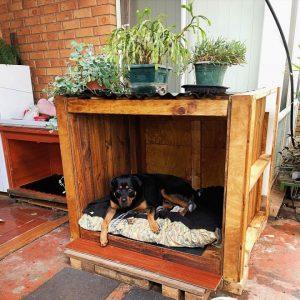 40 Free DIY Pallet Dog House Plans and Ideas - Blitsy