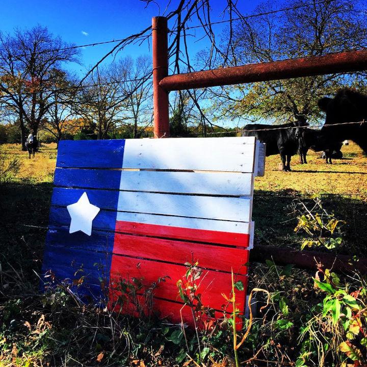 Pallet Texas Flag