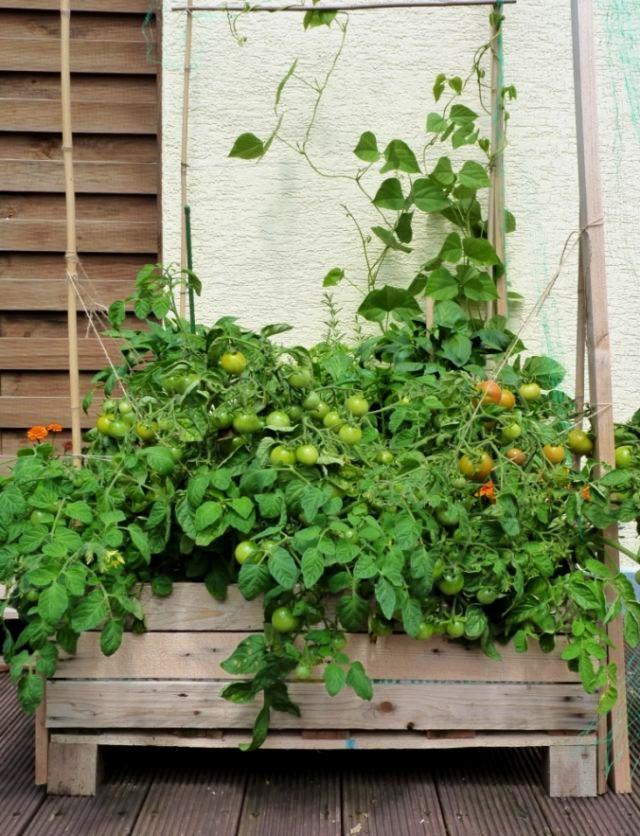 Pallet Vegetable Planter Box