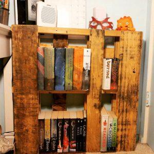 30 DIY Pallet Bookshelf Ideas / Wooden Pallet Bookshelves - Blitsy