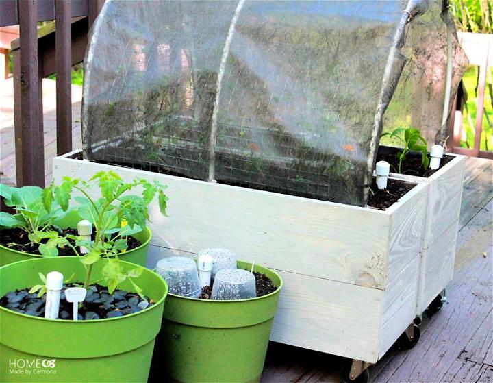 Raised Planter Boxes With Sub Irrigation