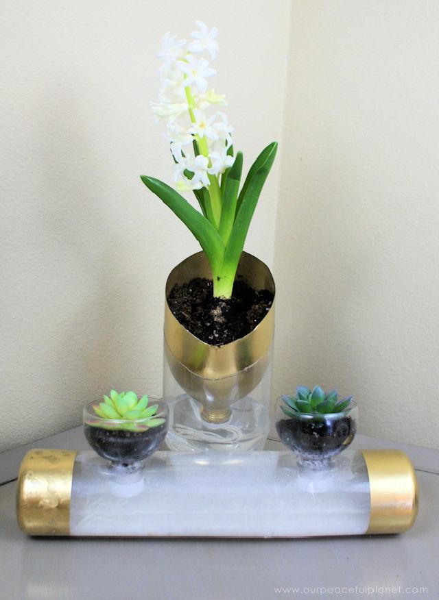 Self Watering Planters From Soda Bottles