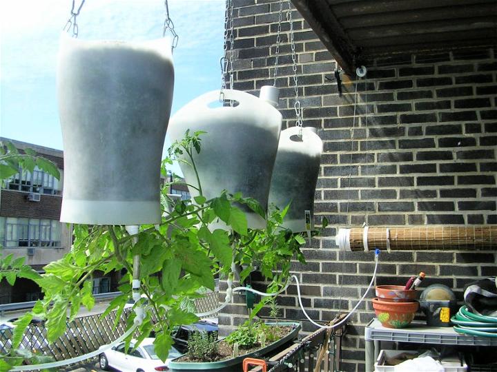 Upside Down Hanging Self Watering Planters