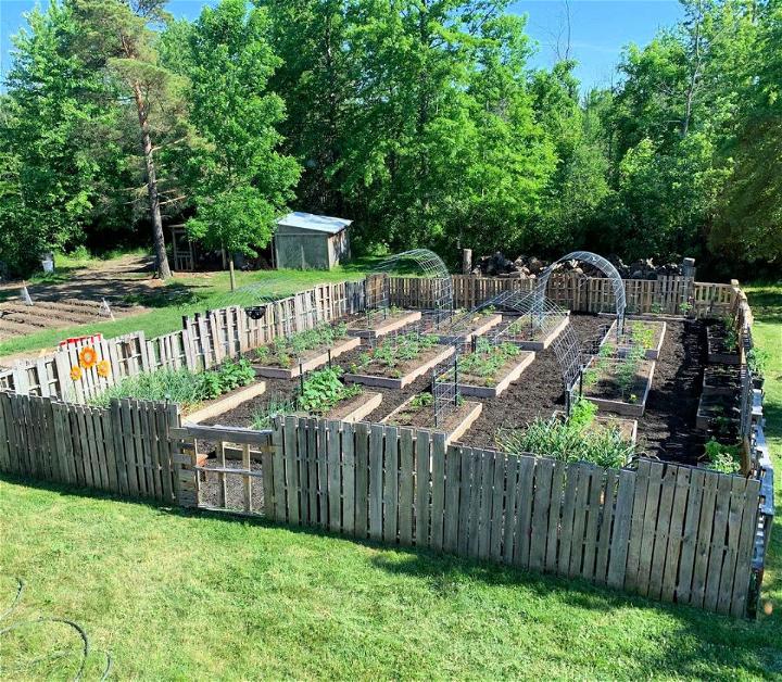 Vegetable Garden Fence