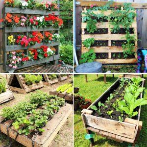 cheap diy pallet garden ideas that are easy to build